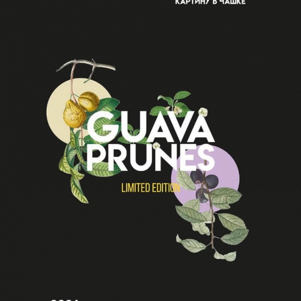 Купить Palitra - Guava Prunes (Гуава Чернослив) - 200г